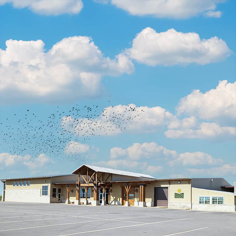 a building with a parking lot and a large parking lot with birds flying in the sky