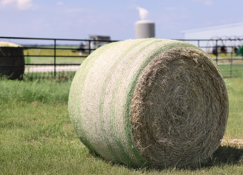 a roll of hay in a field